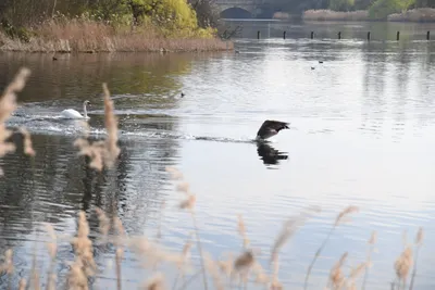 DSC_6892 (Large).JPG